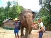 11-08 367 Elephants, Koh Chang.jpg